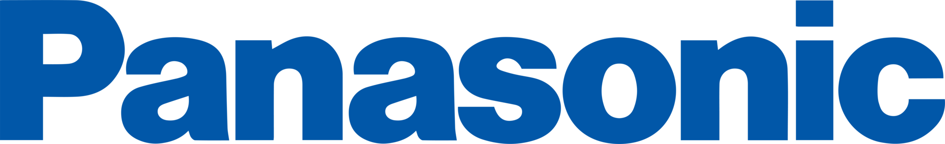 Panasonic